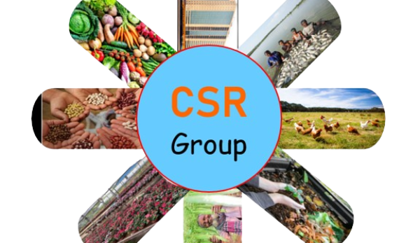 Csr-featues-removebg-preview